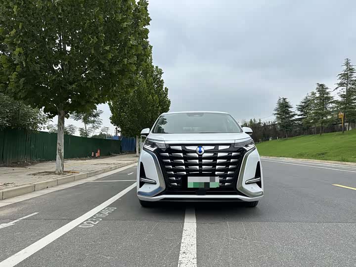 Фото 3 - Denza D9