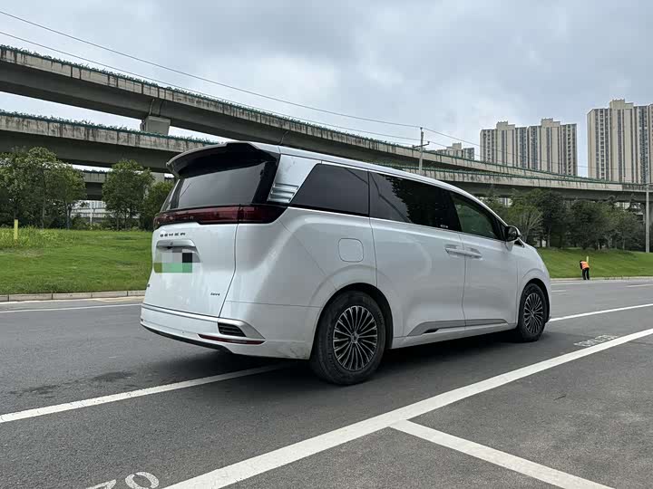 Фото 4 - Denza D9