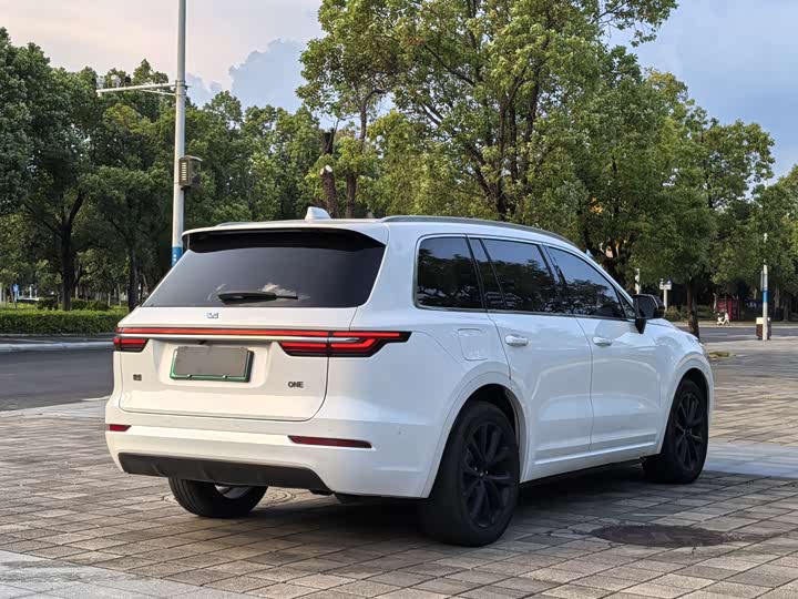 Фото 9 - LiXiang One