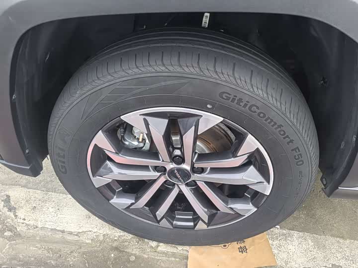 Фото 11 - Haval H-Dog