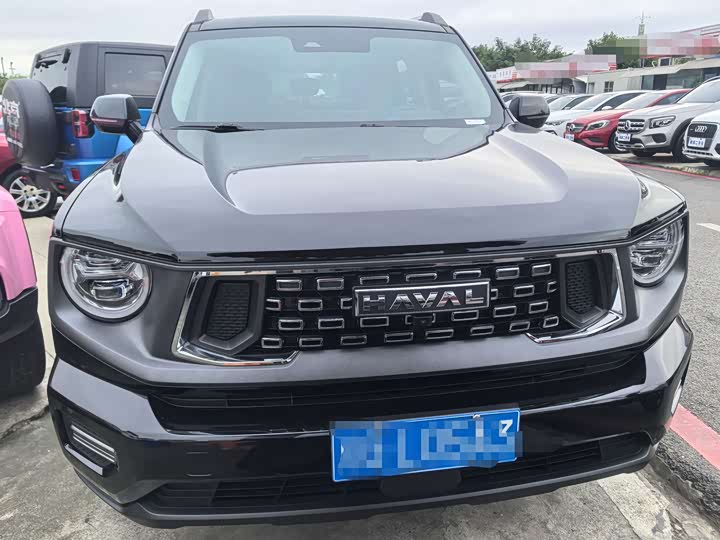 Фото 2 - Haval H-Dog