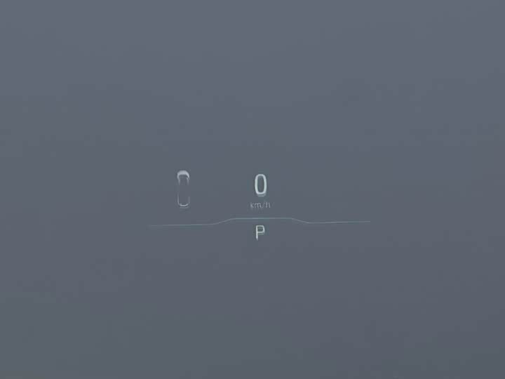 Фото 30 - HiPhi X