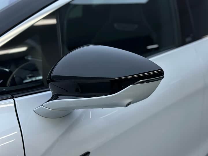 Фото 32 - HiPhi X