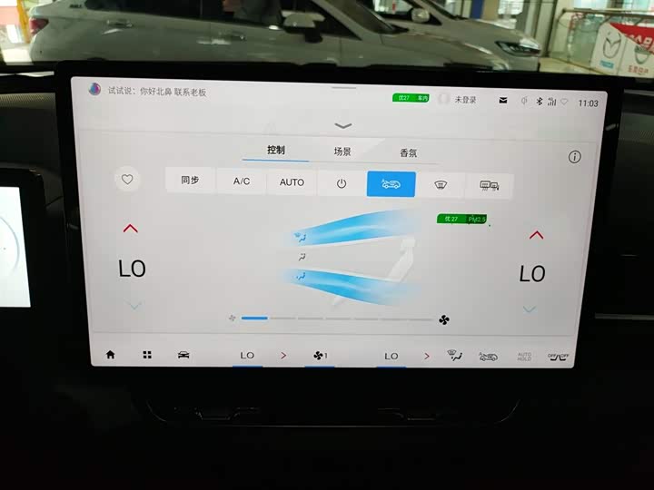 Фото 13 - GAC Aion V