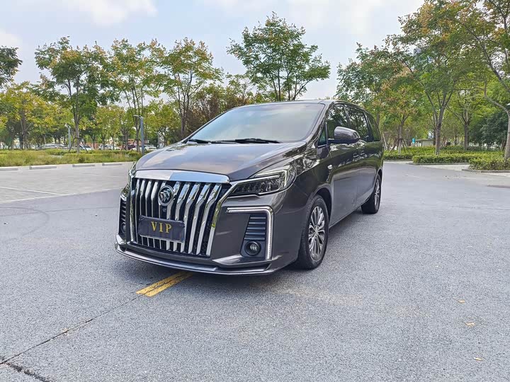 Фото 1 - Buick GL8 ES