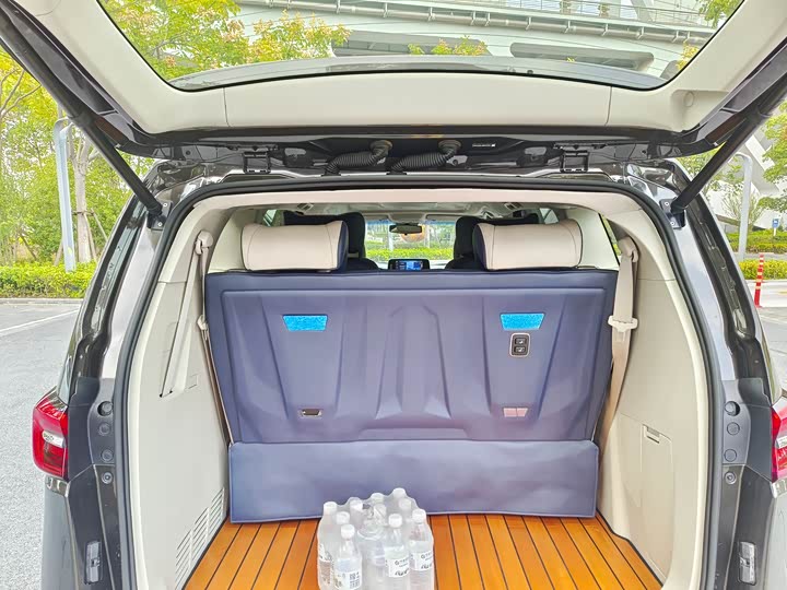 Фото 15 - Buick GL8 ES