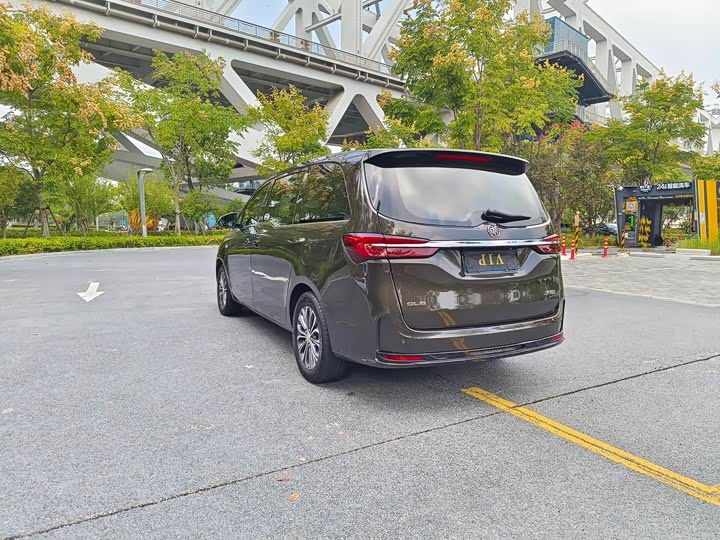 Фото 18 - Buick GL8 ES