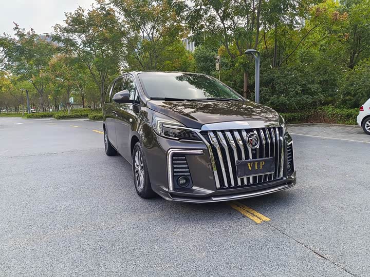 Фото 3 - Buick GL8 ES