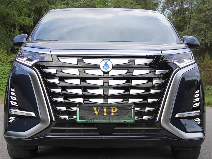 Фото 1 - Denza D9