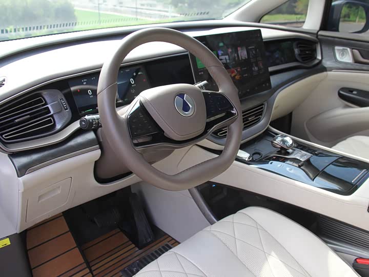 Фото 10 - Denza D9