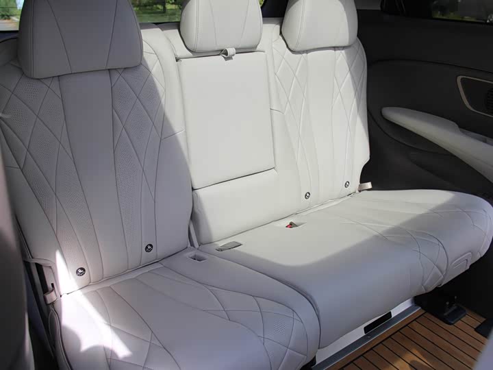 Фото 18 - Denza D9