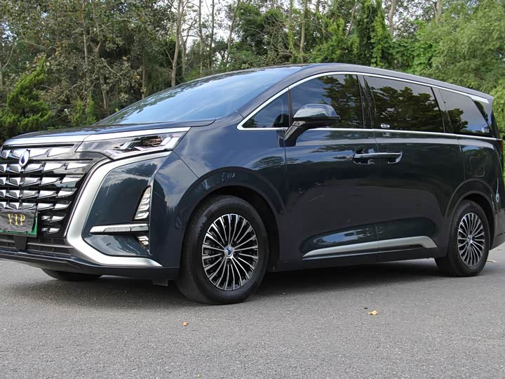 Фото 2 - Denza D9