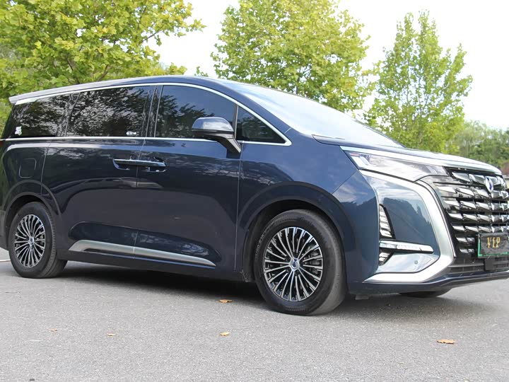 Фото 3 - Denza D9