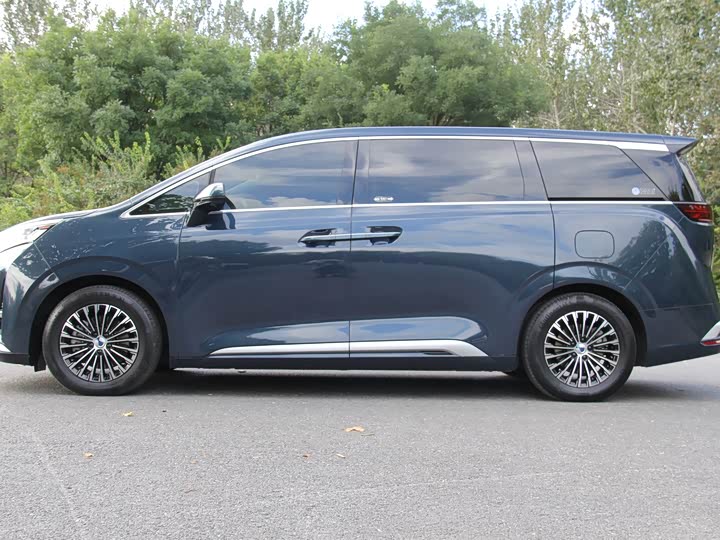 Фото 4 - Denza D9