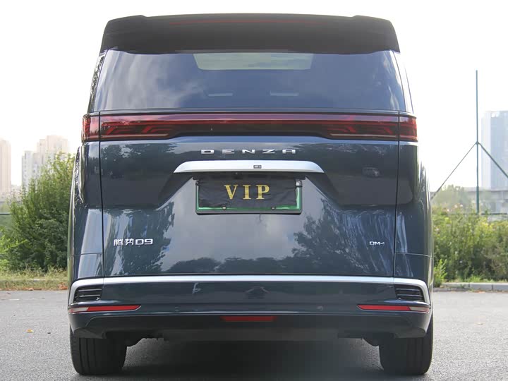 Фото 5 - Denza D9