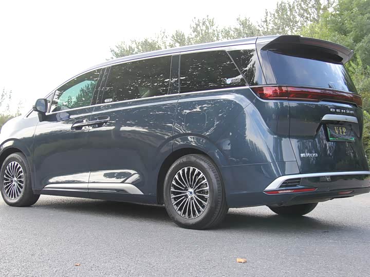 Фото 6 - Denza D9