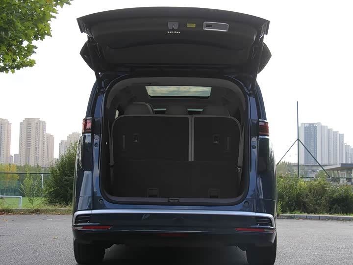 Фото 8 - Denza D9