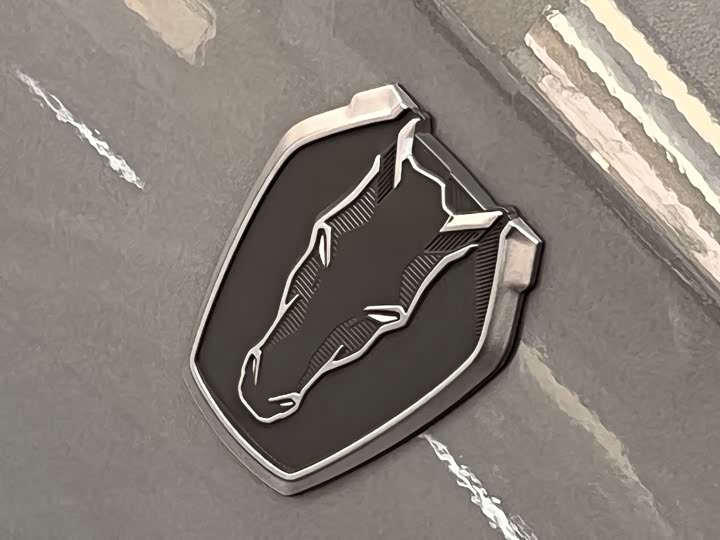 Фото 32 - Ford Mustang