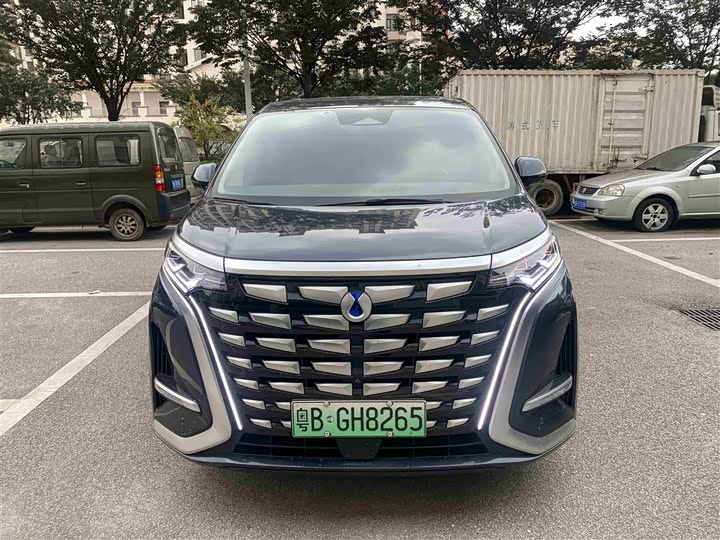 Фото 2 - Denza D9