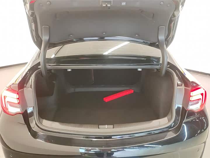 Фото 4 - Buick Regal