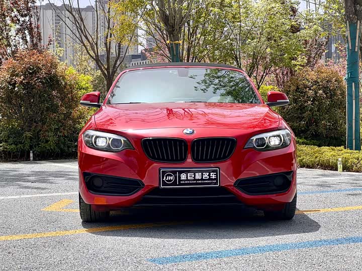 Фото 3 - BMW 2 Series