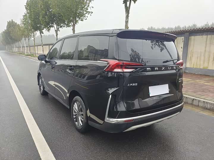 Фото 13 - Maxus G50