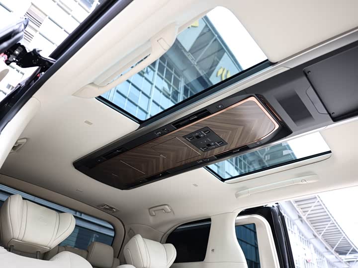 Фото 13 - Lexus LM