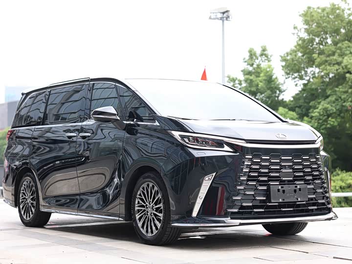 Фото 3 - Lexus LM