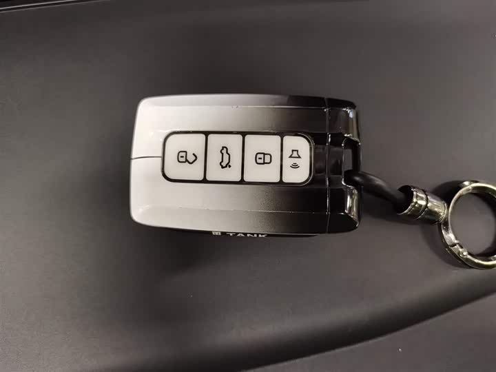 Фото 9 - Tank 500 Hybrid