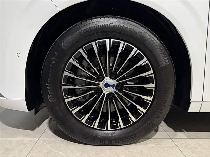 Фото 11 - Denza D9