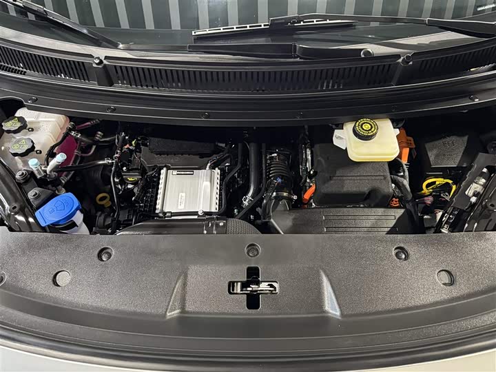 Фото 12 - Denza D9