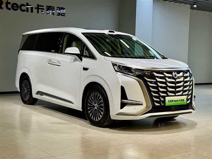 Фото 2 - Denza D9