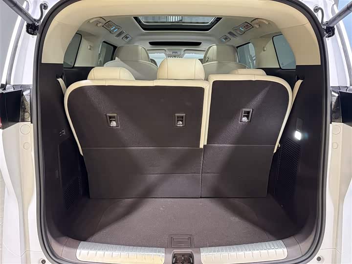 Фото 24 - Denza D9