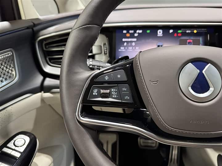 Фото 26 - Denza D9