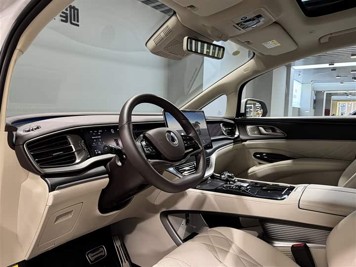 Фото 28 - Denza D9