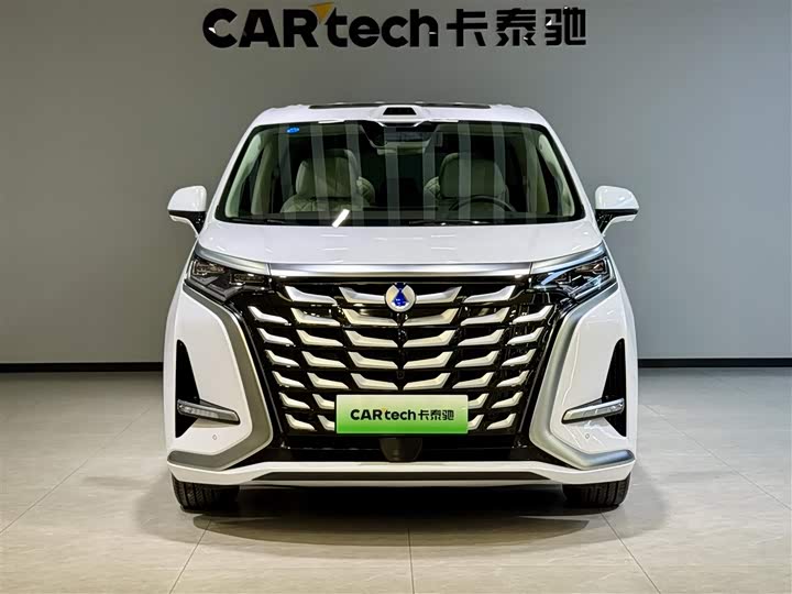 Фото 3 - Denza D9