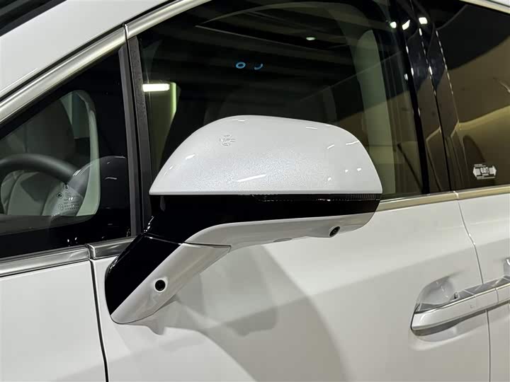 Фото 4 - Denza D9