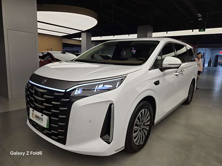 Фото 1 - BYD Xia