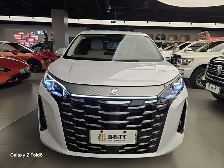 Фото 2 - BYD Xia