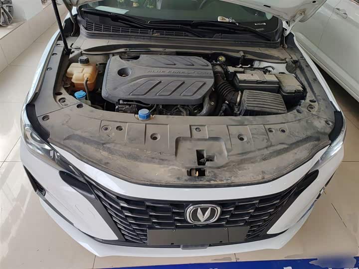 Фото 10 - Changan Raeton CC