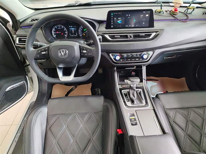 Фото 12 - Changan Raeton CC