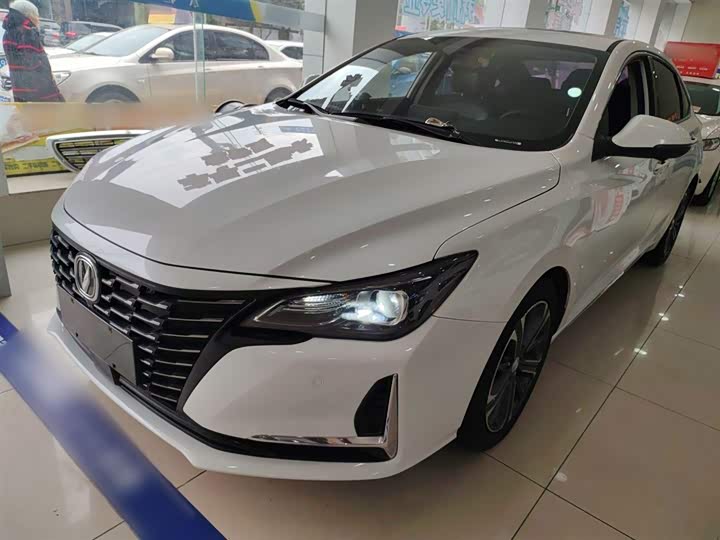 Фото 2 - Changan Raeton CC