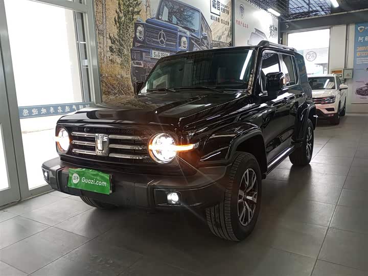 Фото 2 - Tank 300