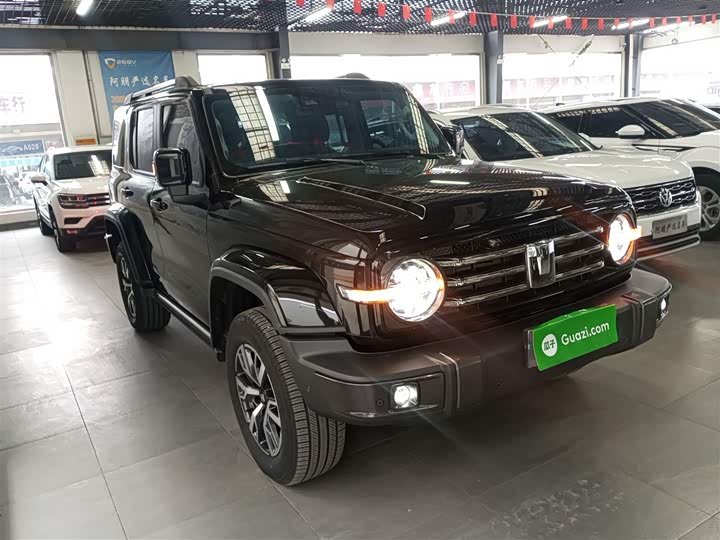 Фото 4 - Tank 300