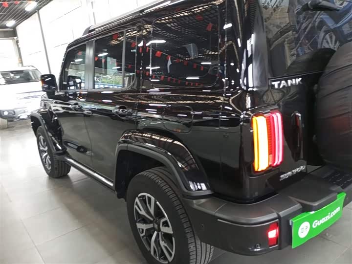 Фото 5 - Tank 300