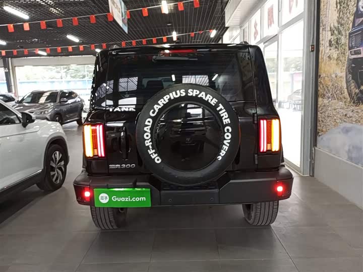 Фото 6 - Tank 300