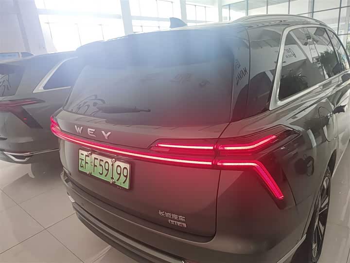 Фото 6 - Wey Lanshan