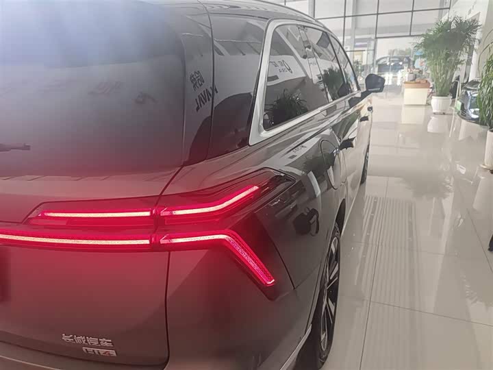 Фото 8 - Wey Lanshan