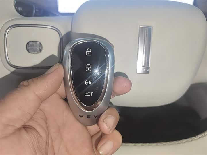 Фото 9 - Wey Lanshan