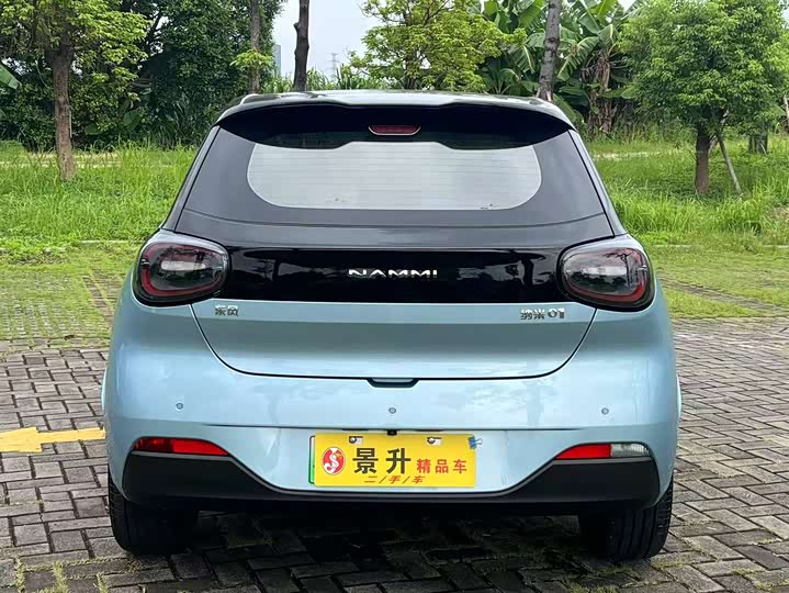 Фото 6 - Dongfeng Nammi 01